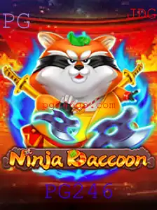 Descubra o Mundo de Aventura com NinjaRaccoon